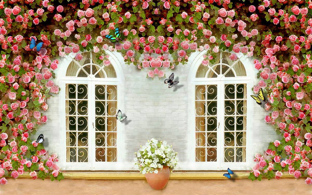 Papier peint les fenêtres sont entourées de roses en fleurs