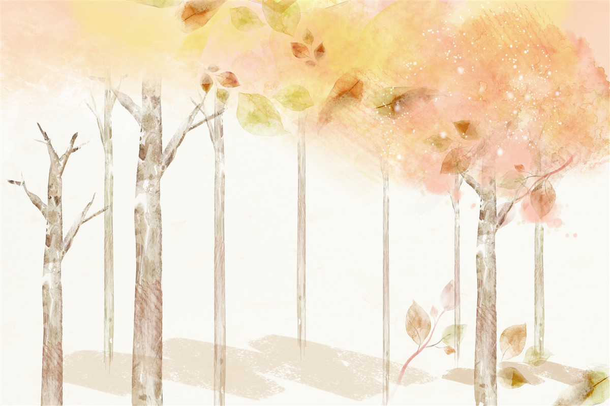 Papier peint les arbres perdent leurs feuilles en automne