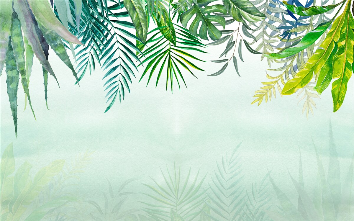Papier peint brume matinale dans un vert tropical