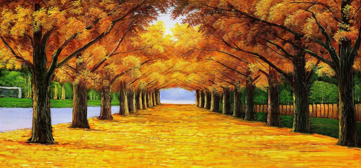 Papier peint période automnale dans un parc avec des arbres couverts de feuilles