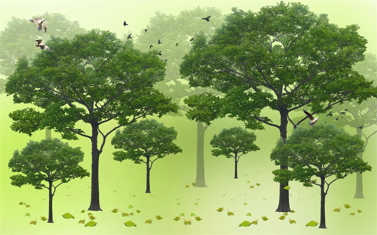 Papier peint les arbres à feuilles caduques sont verts