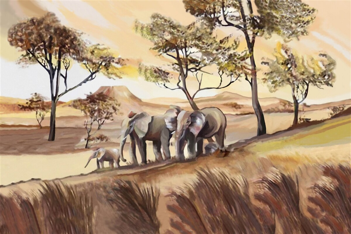 Papier peint voyage en famille à dos d'éléphant