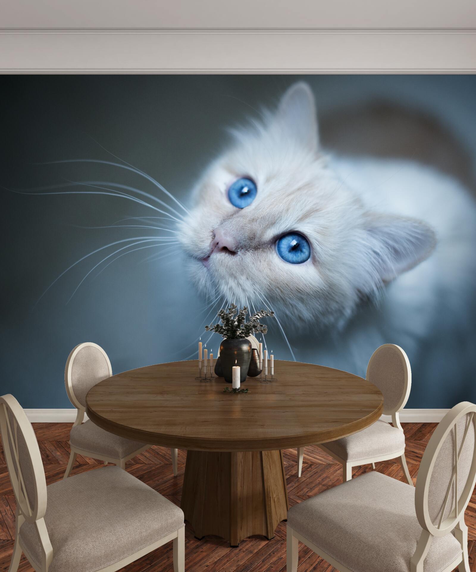Papier peint chaton à la fourrure blanche et aux yeux bleus