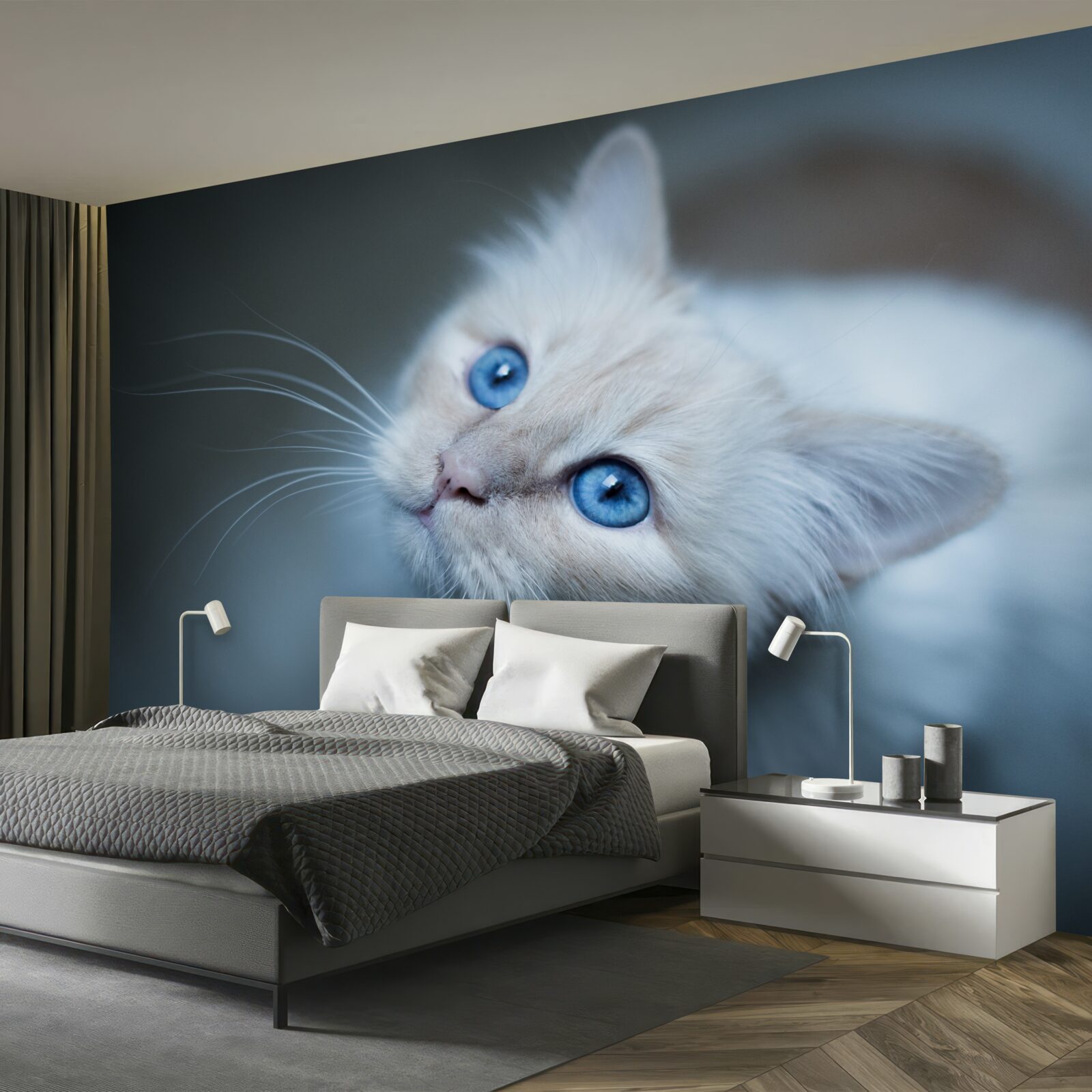Papier peint chaton à la fourrure blanche et aux yeux bleus