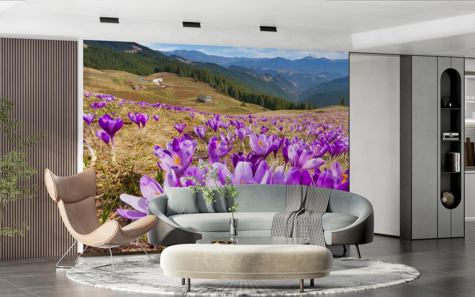 Papier peint les crocus de montagne sont violets