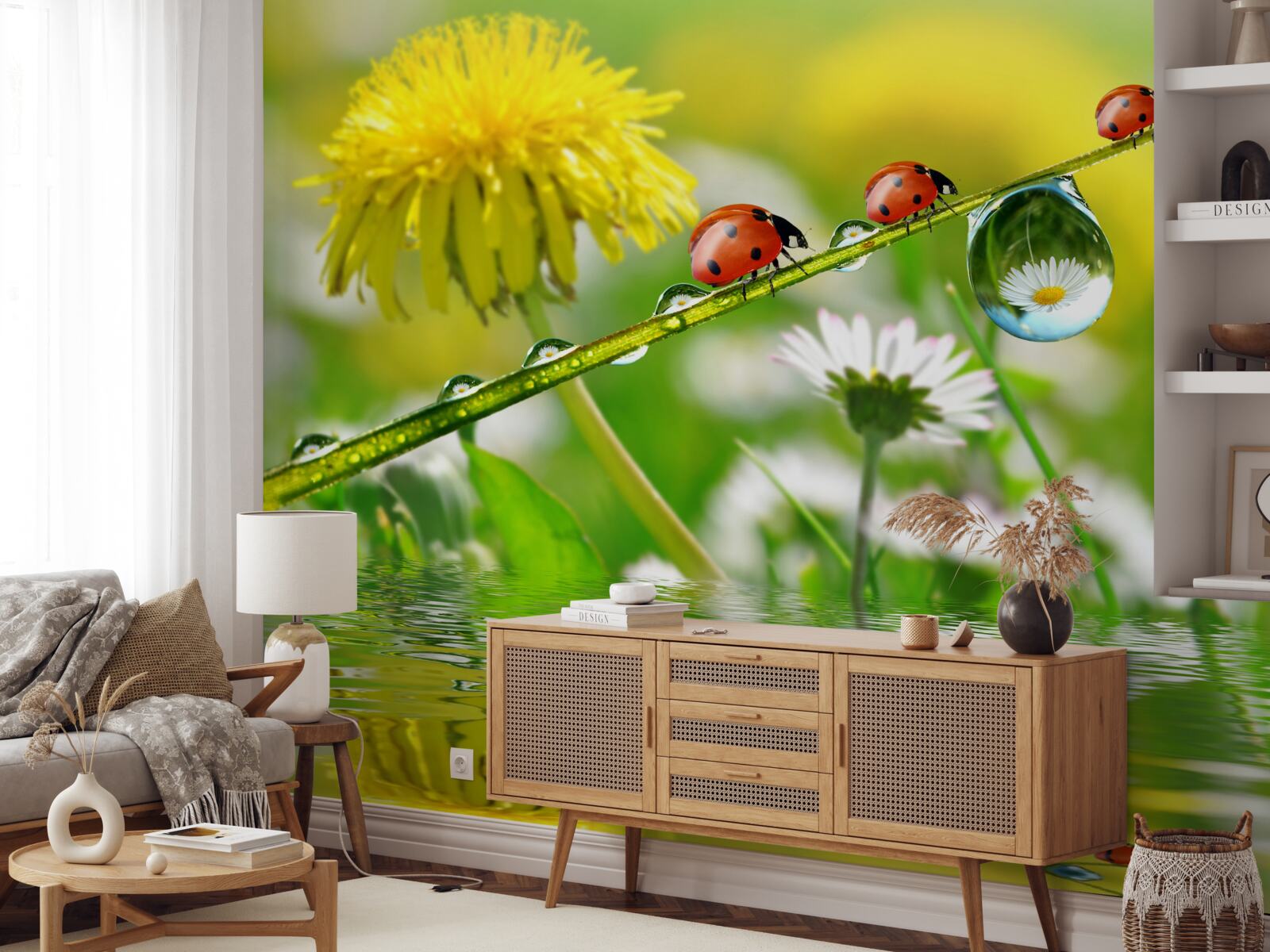 Papier peint coccinelle et pissenlit après l'orage