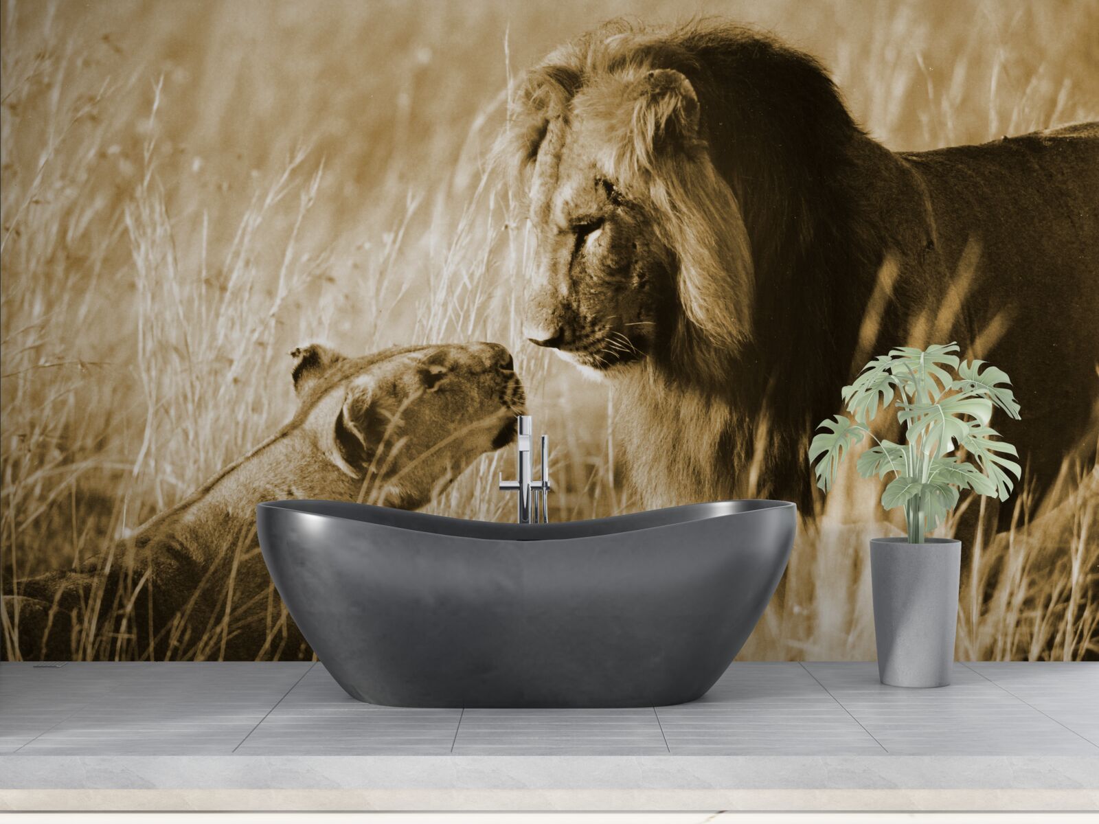 Papier peint le lion et la lionne apprennent à se connaître