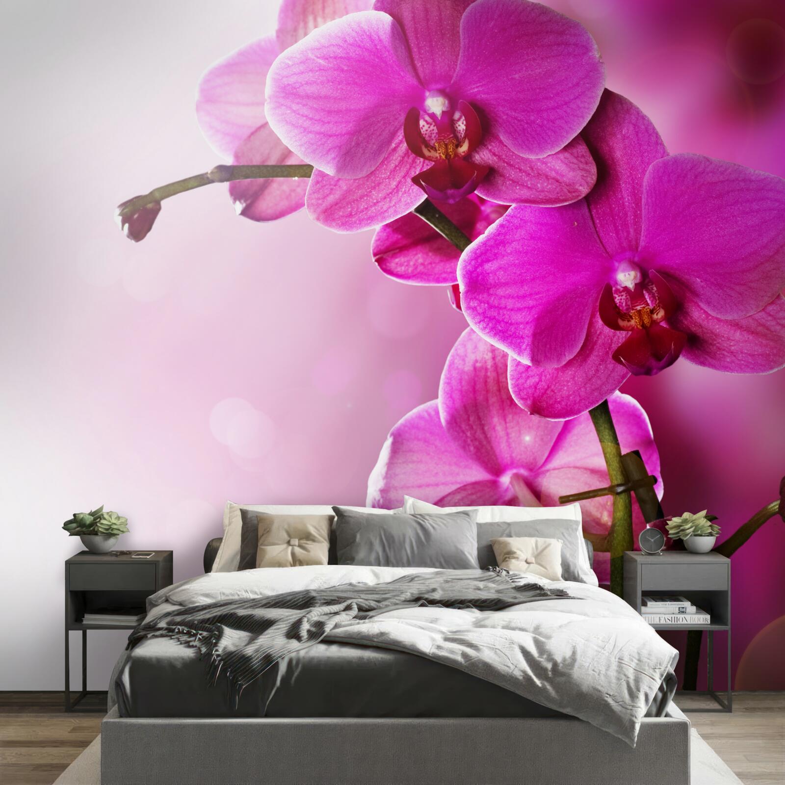 Papier peint orchidées et bourgeon de lilas
