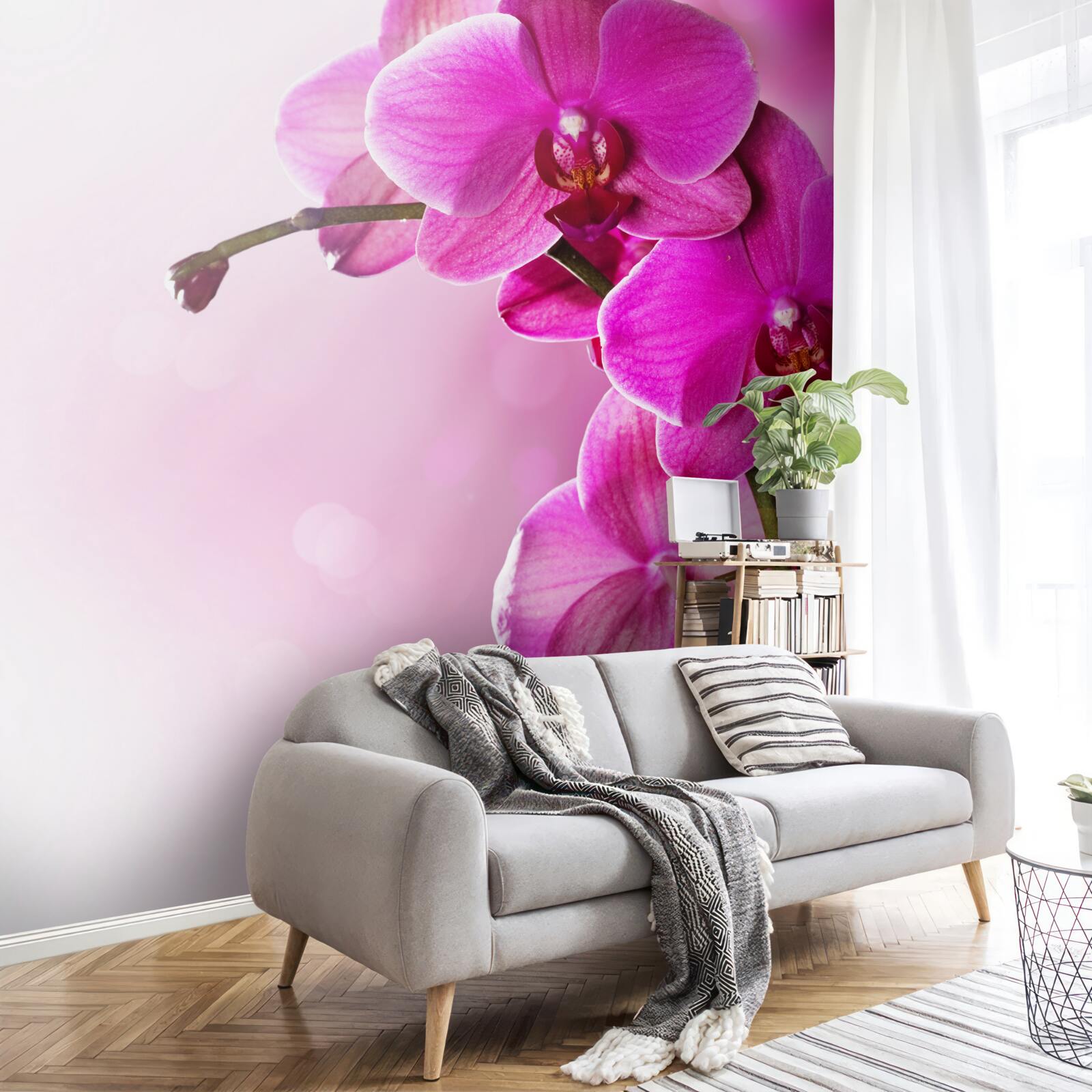 Papier peint orchidées et bourgeon de lilas
