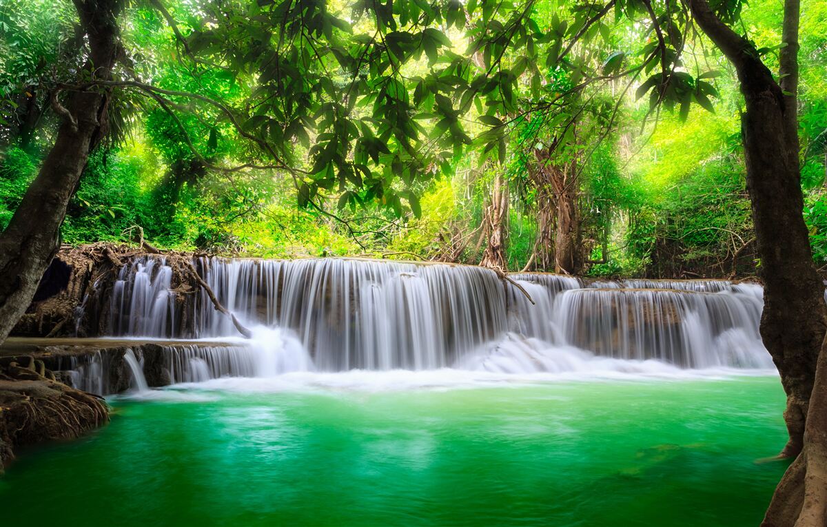 Papier peint la cascade de la forêt alimente son eau en couleur émeraude