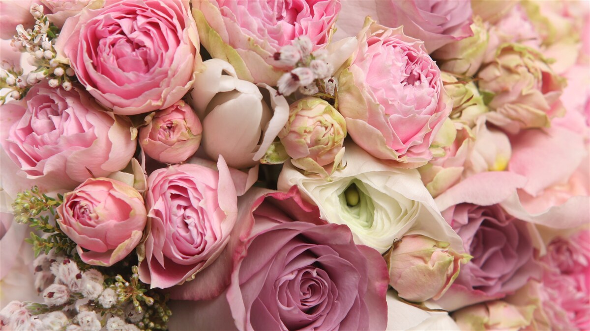 Papier peint un bouquet de fleurs délicat avec une touche de romantisme