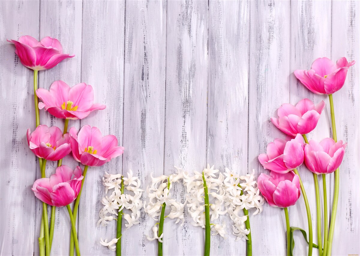 Papier peint tulipes roses poussant sur un arbre
