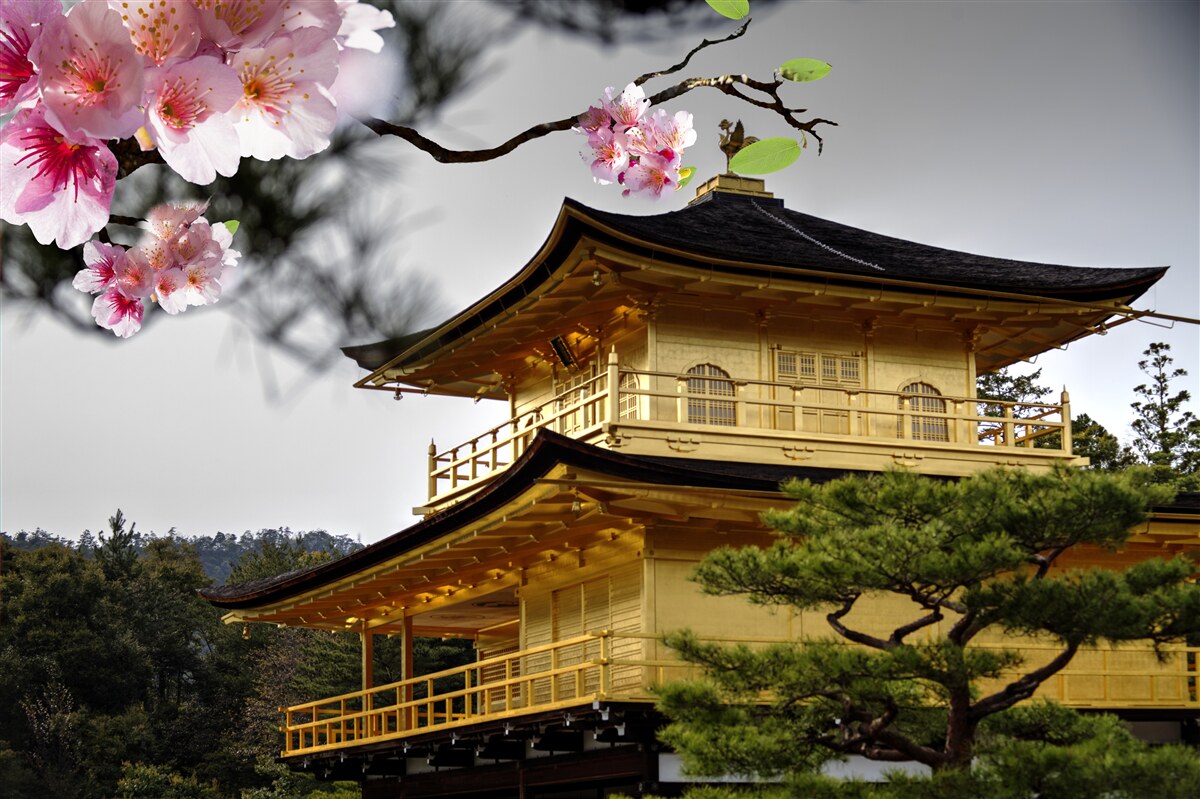 Papier peint sakura et monastère bouddhiste
