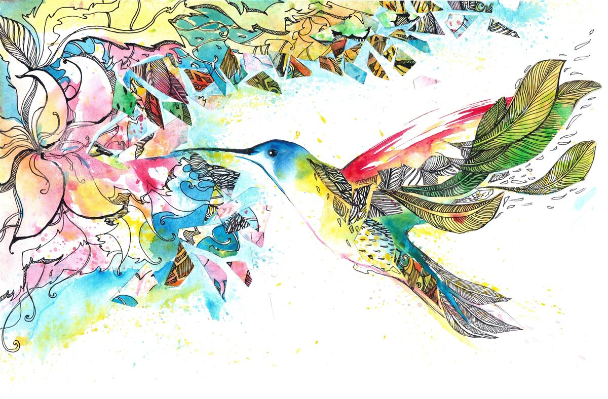 Papier peint après son vol, le colibri absorbe le nectar