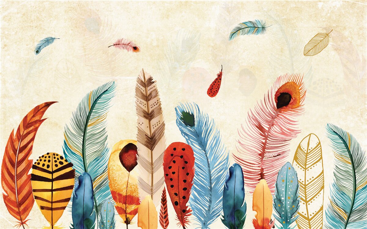 Papier peint plumes d'oiseaux inhabituels de différents types