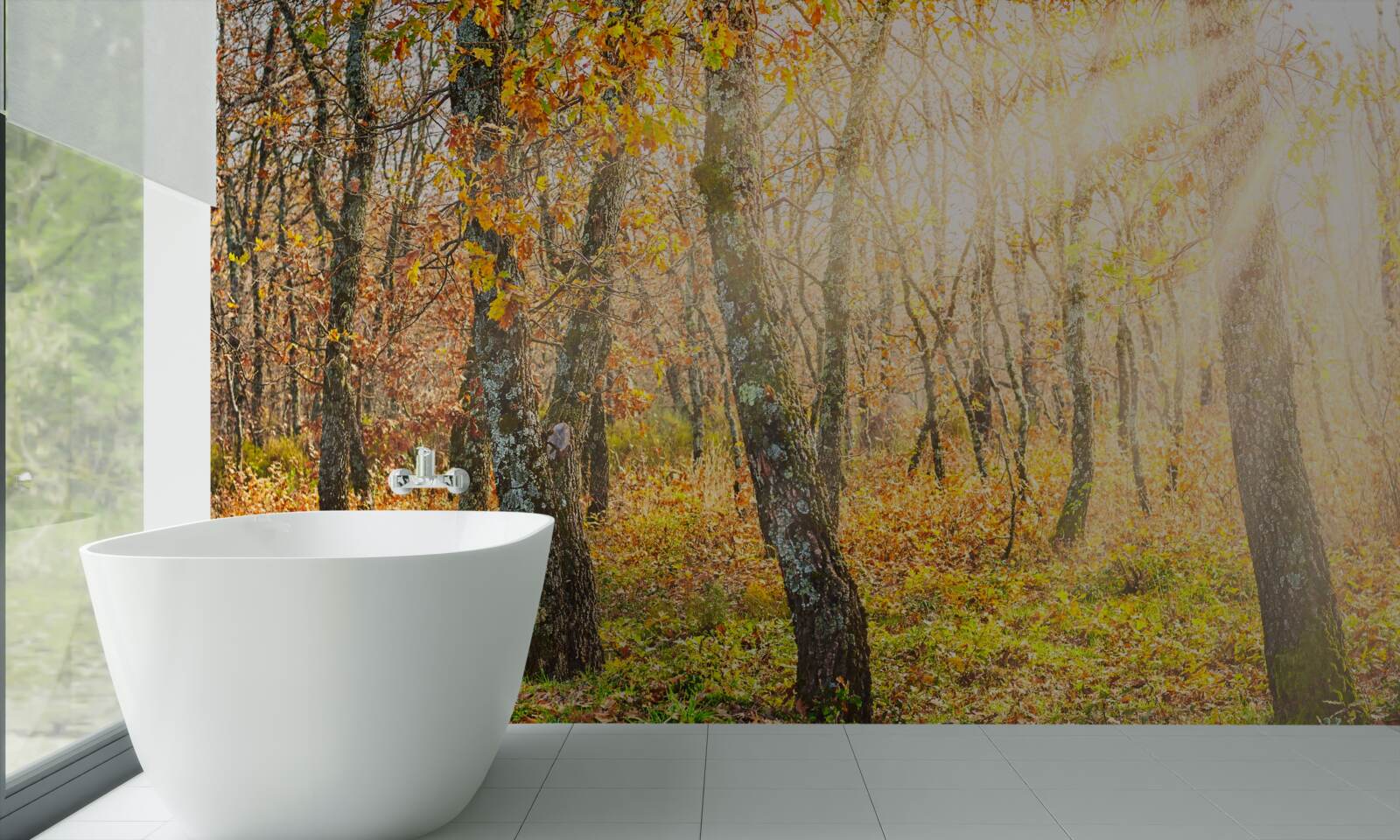 Papier peint Aube dans le maquis d'automne