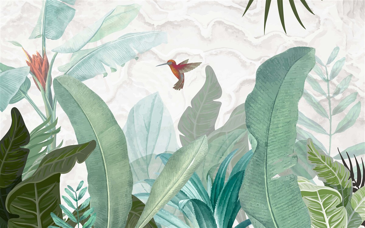 Papier peint colibri à la recherche d'un nectar sucré