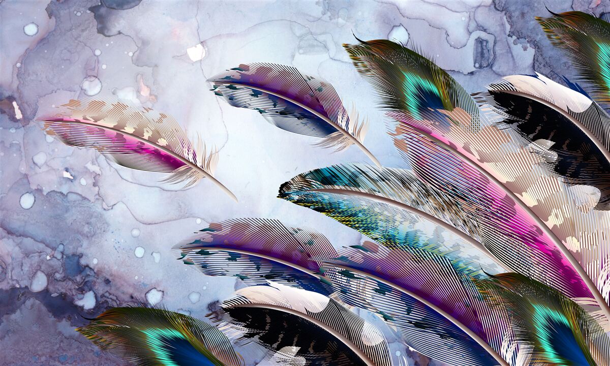 Papier peint le plumage de l'oiseau magique
