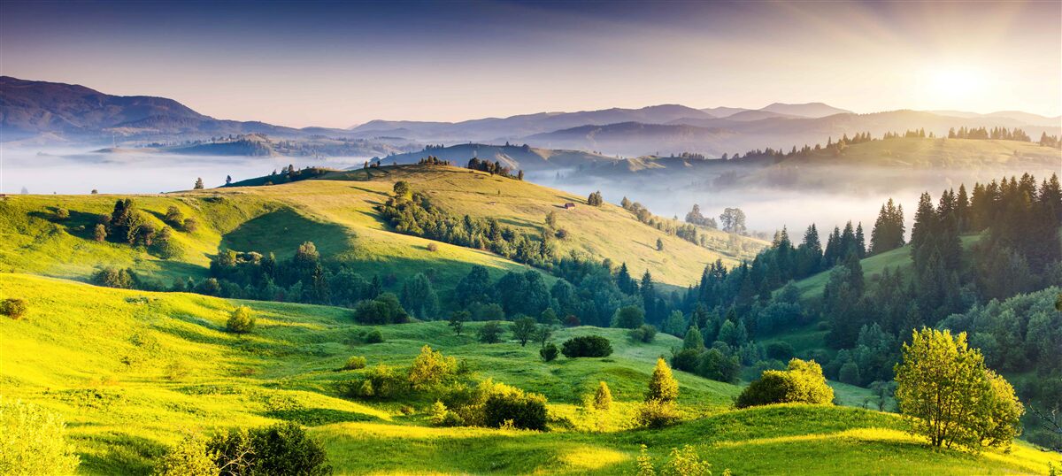 Papier peint les prairies de montagne s'animent dans les chauds rayons de l'aube