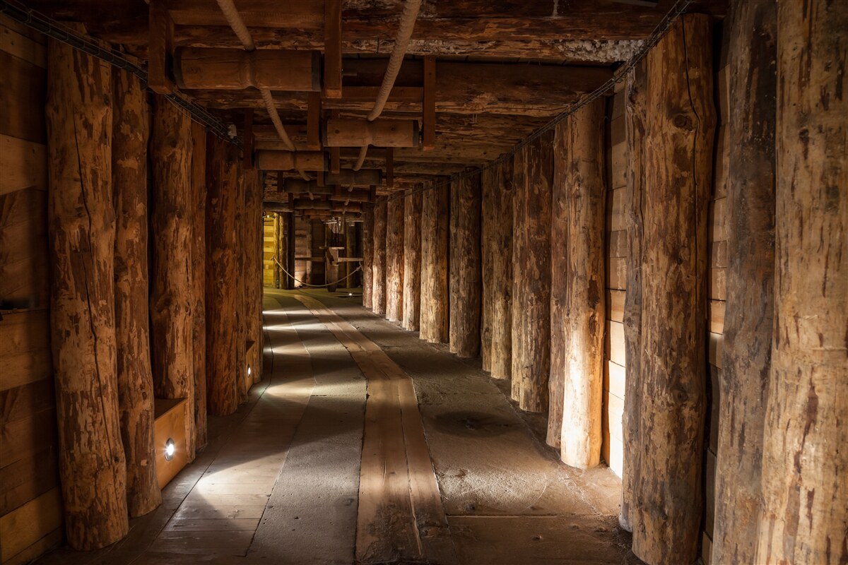 Papier peint tunnel souterrain en bois