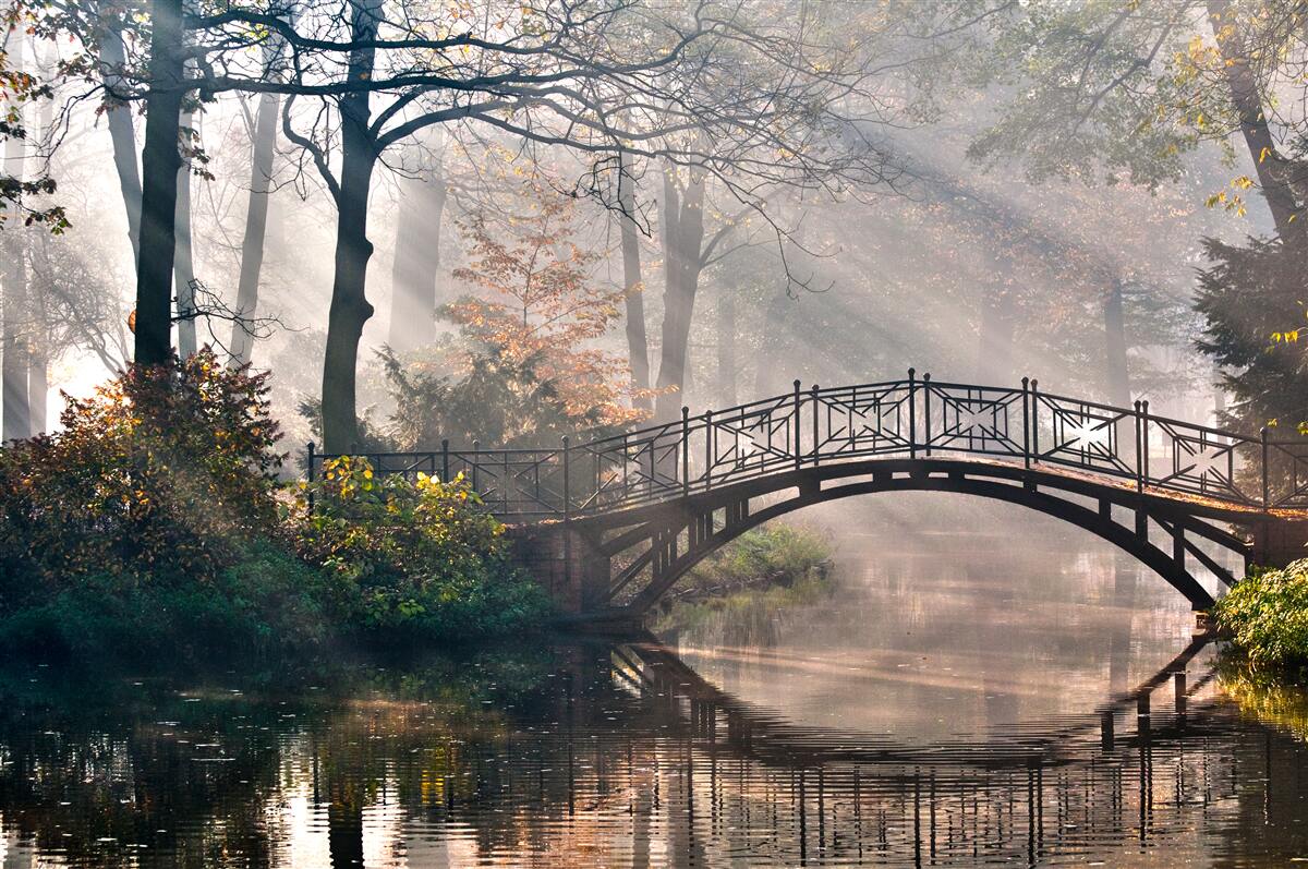 Papier peint reflet du pont dans la rivière forestière