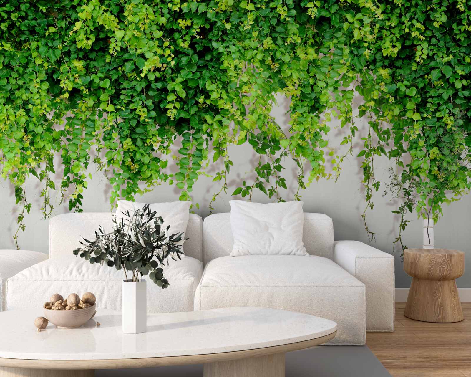 Papier peint les plantes suspendues sont vert clair