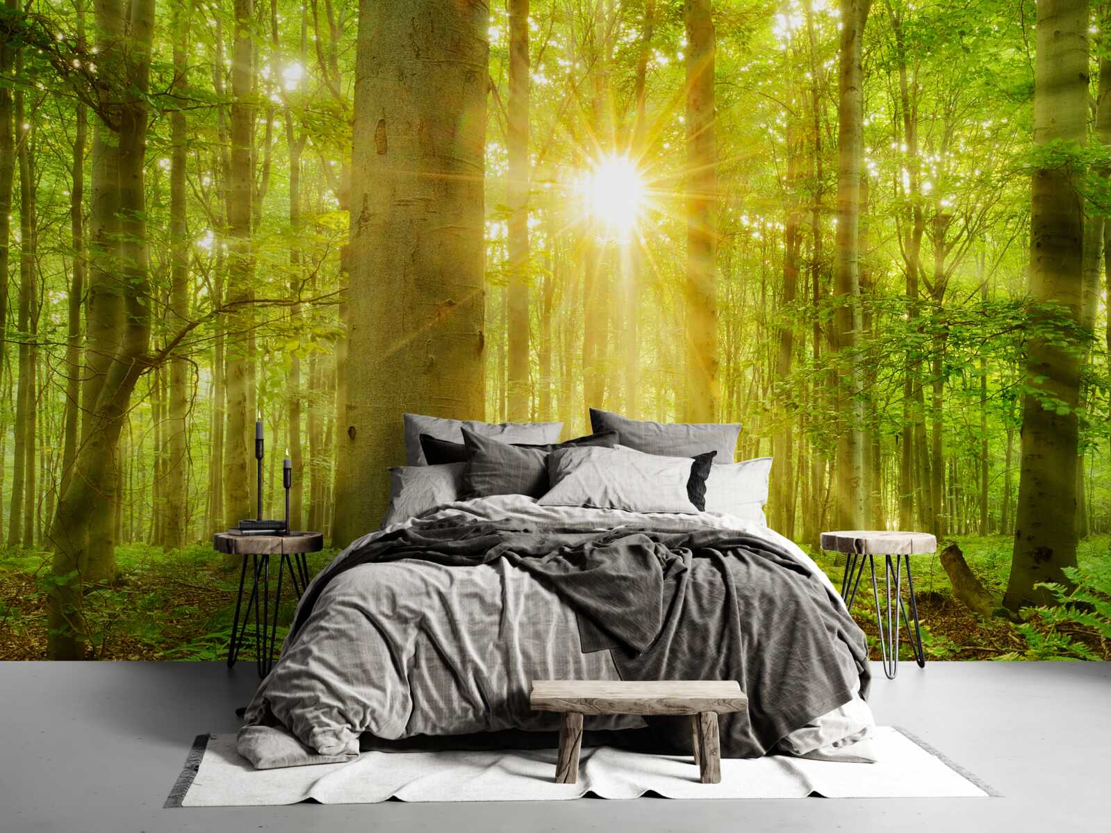 Papier peint Lumière du soleil dans une forêt de hêtres