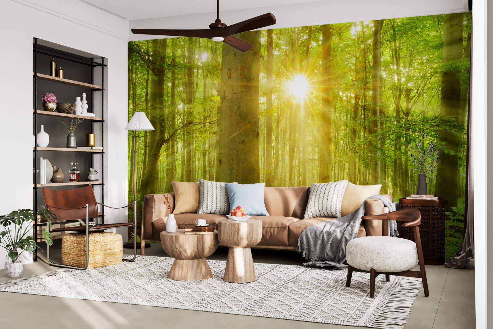 Papier peint Lumière du soleil dans une forêt de hêtres