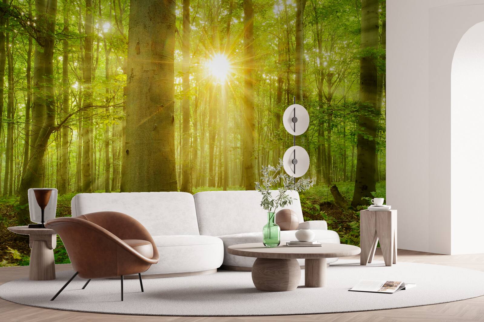 Papier peint Lumière du soleil dans une forêt de hêtres