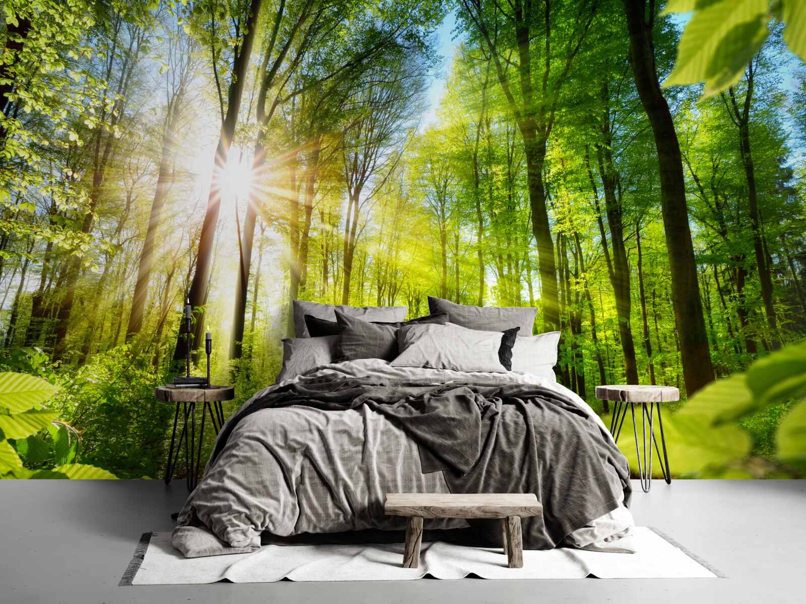 Papier peint soleil matinal dans une forêt verdoyante