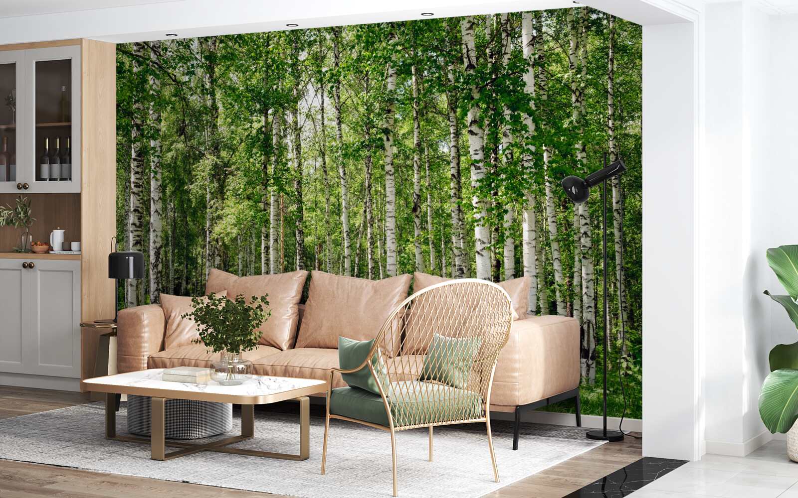 Papier peint forêt de bouleaux hauts et minces