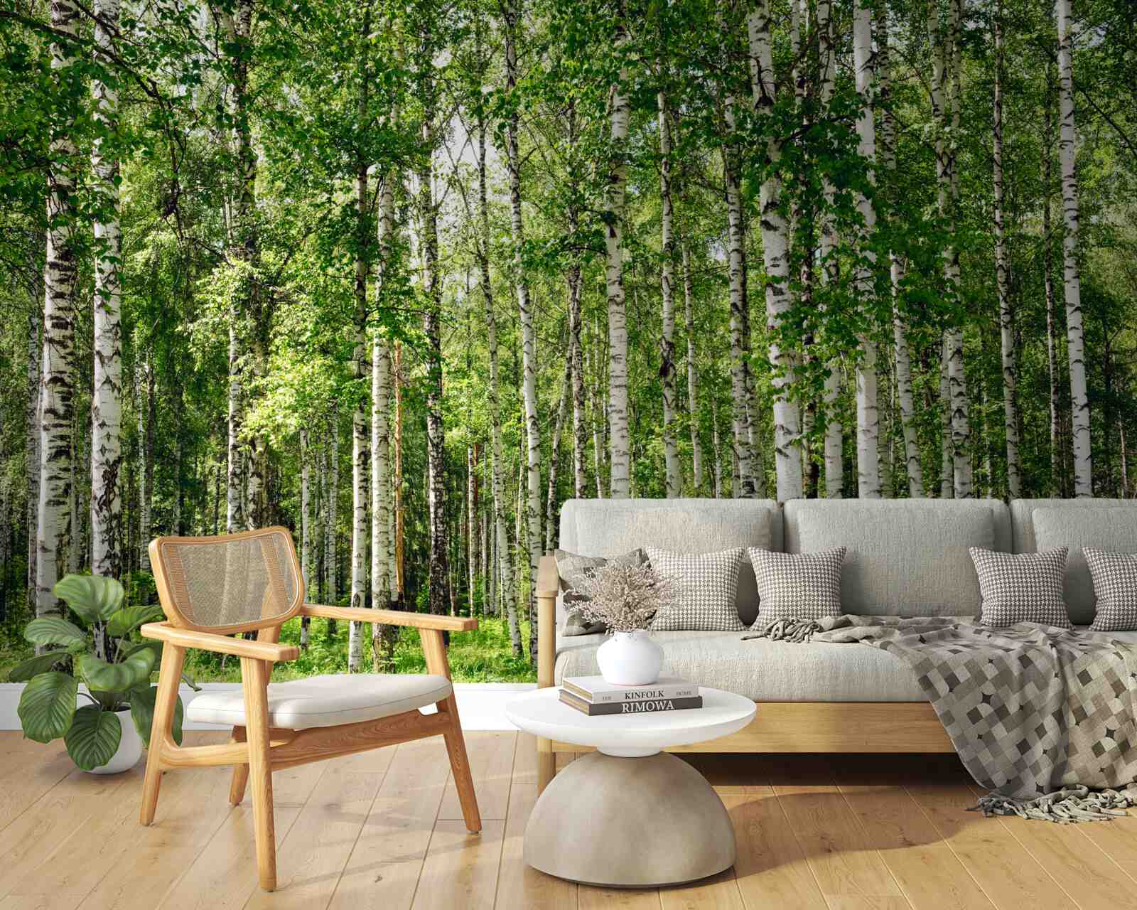 Papier peint forêt de bouleaux hauts et minces