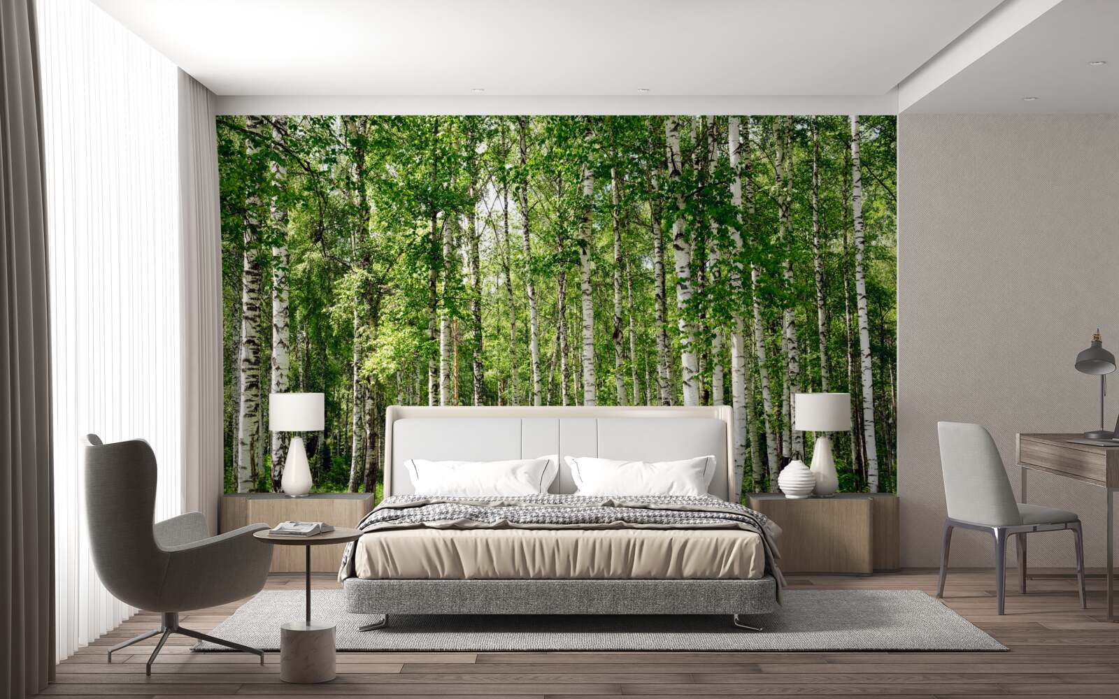 Papier peint forêt de bouleaux hauts et minces