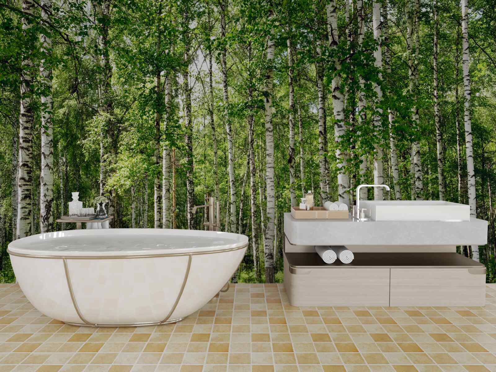 Papier peint forêt de bouleaux hauts et minces