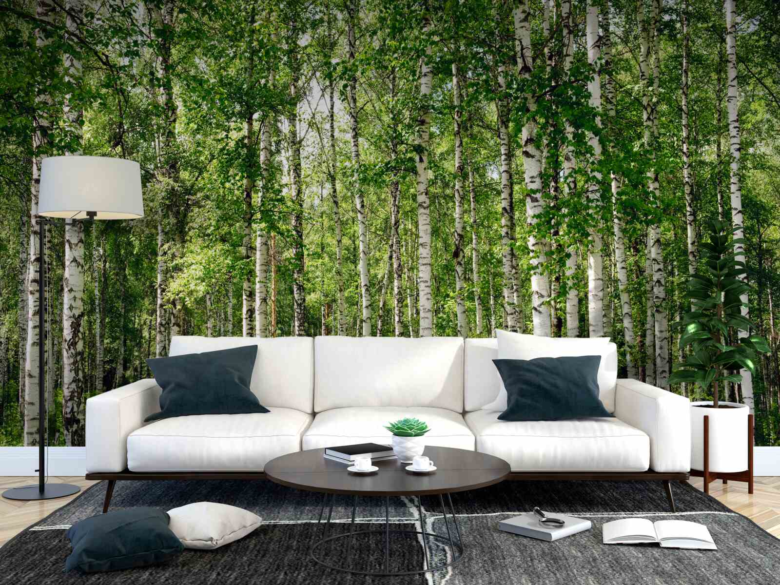 Papier peint forêt de bouleaux hauts et minces
