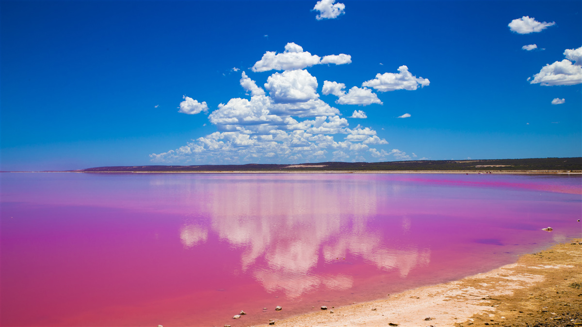 Papier peint la lagune de hutt aux eaux roses