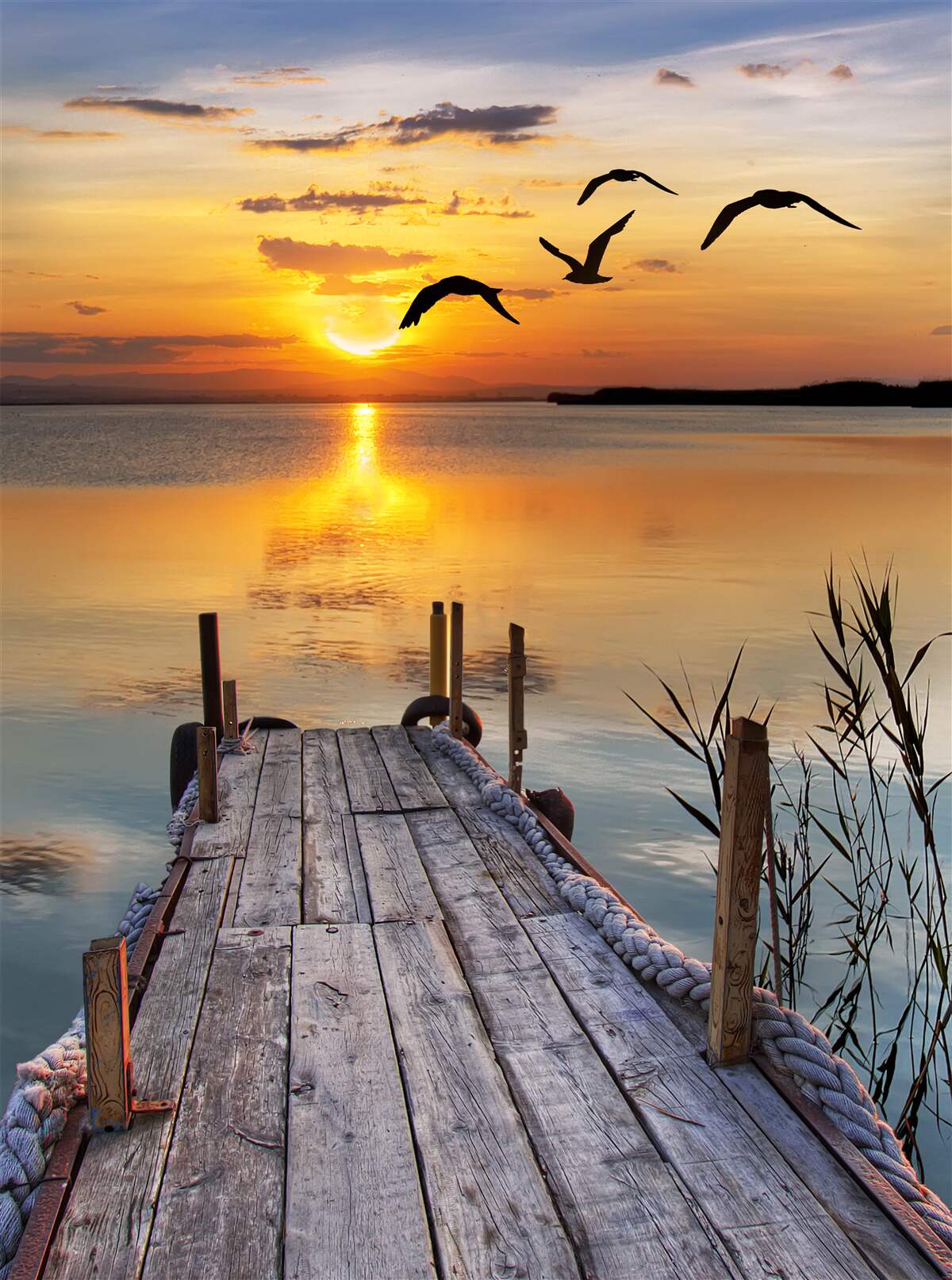 Papier peint un chaud coucher de soleil sur un pont où les mouettes tournent en rond