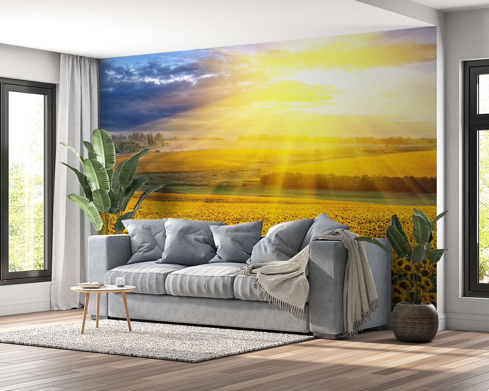 Papier peint le soleil est éclatant sur un champ de tournesols luxuriants