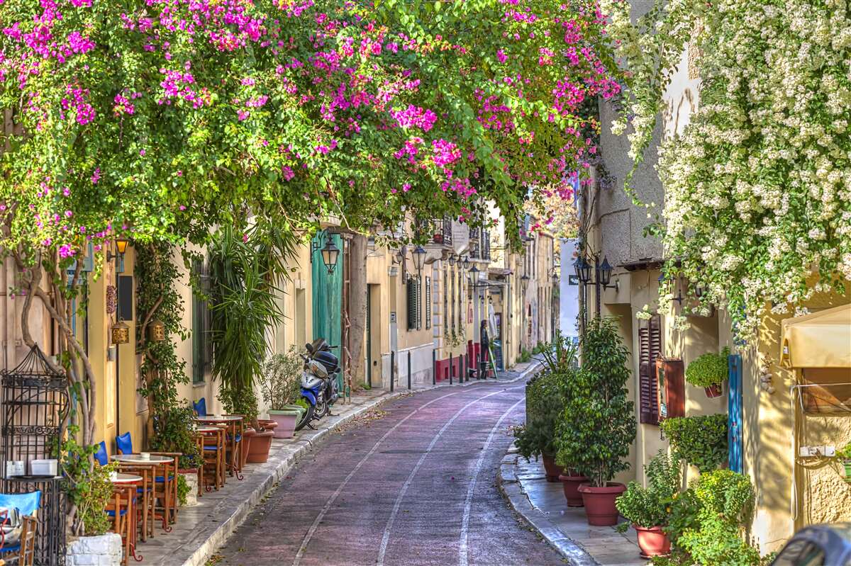 Papier peint La rue caressée par une verdure pittoresque crée habilement une atmosphère de confort