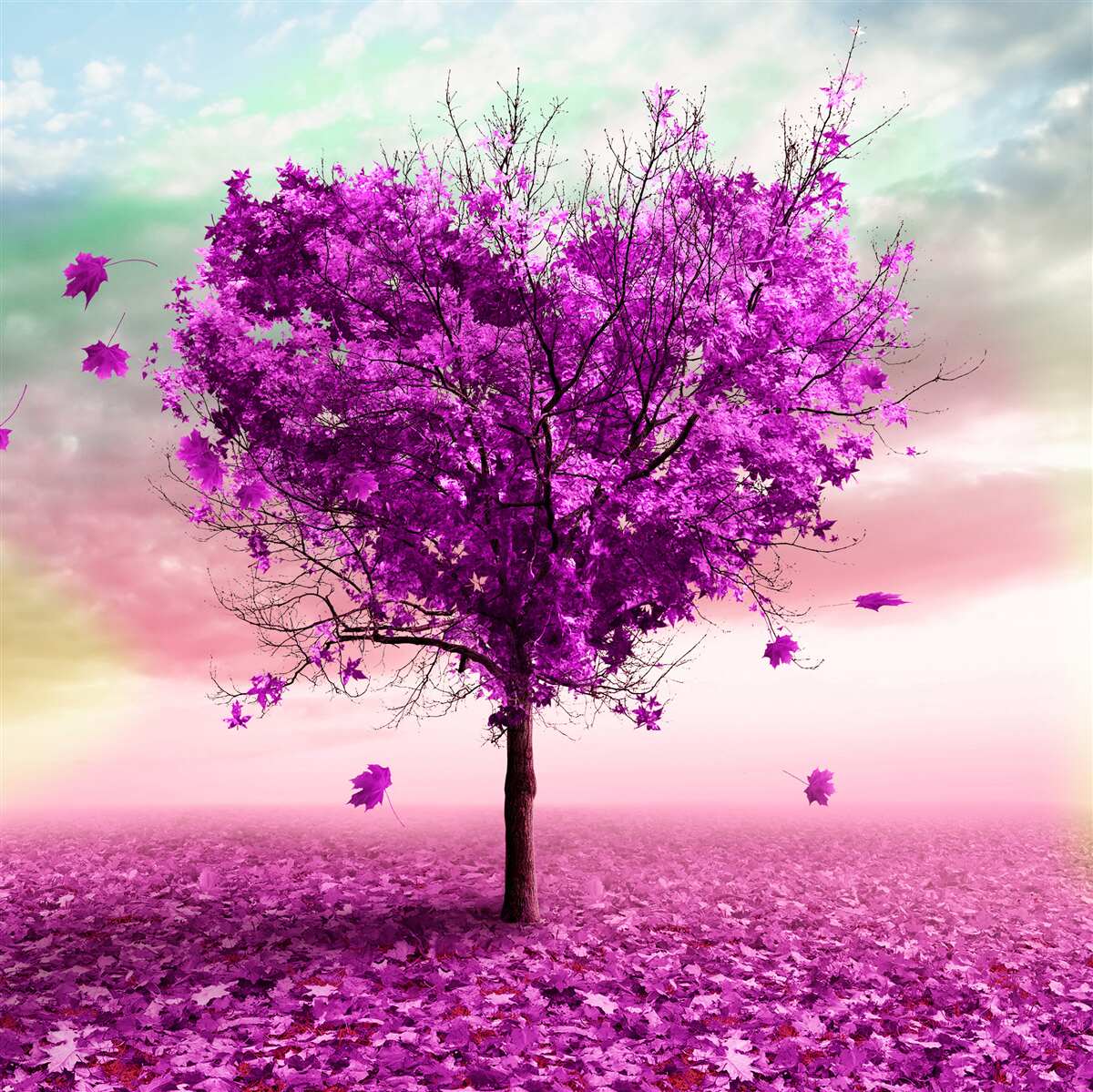 Papier peint arbre avec des feuilles violettes en train de tomber
