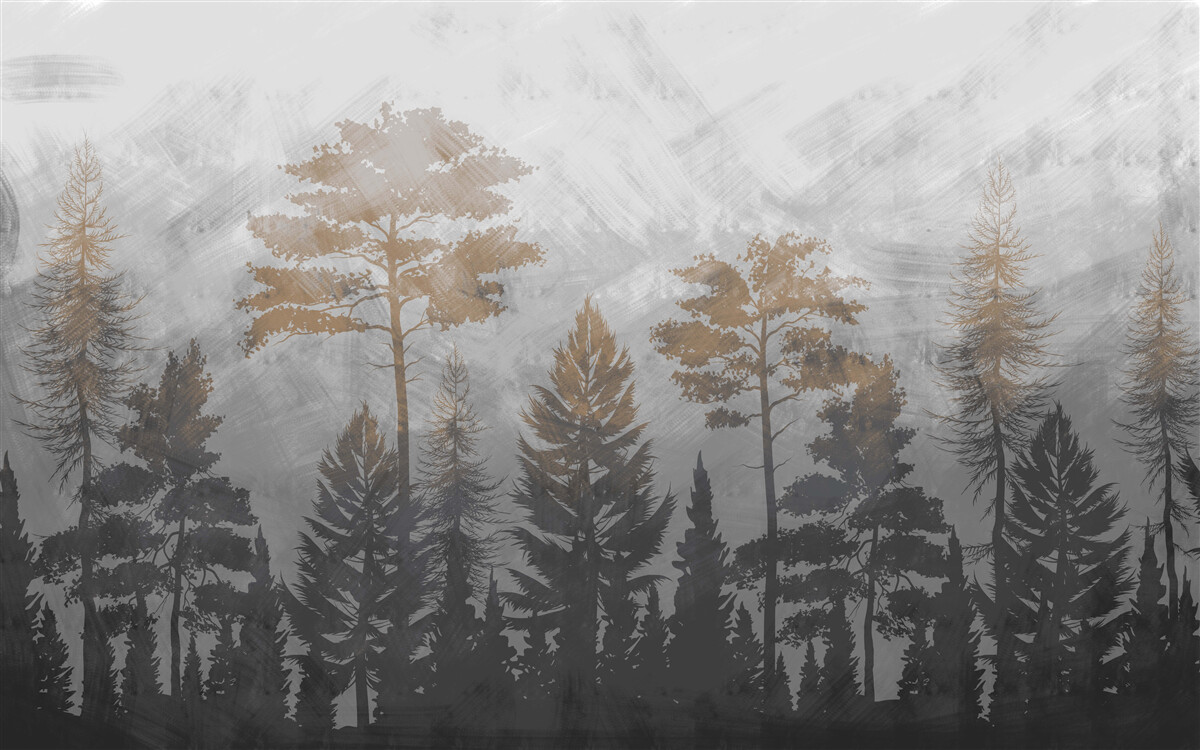 Papier peint le soleil brille à travers la brume de la forêt