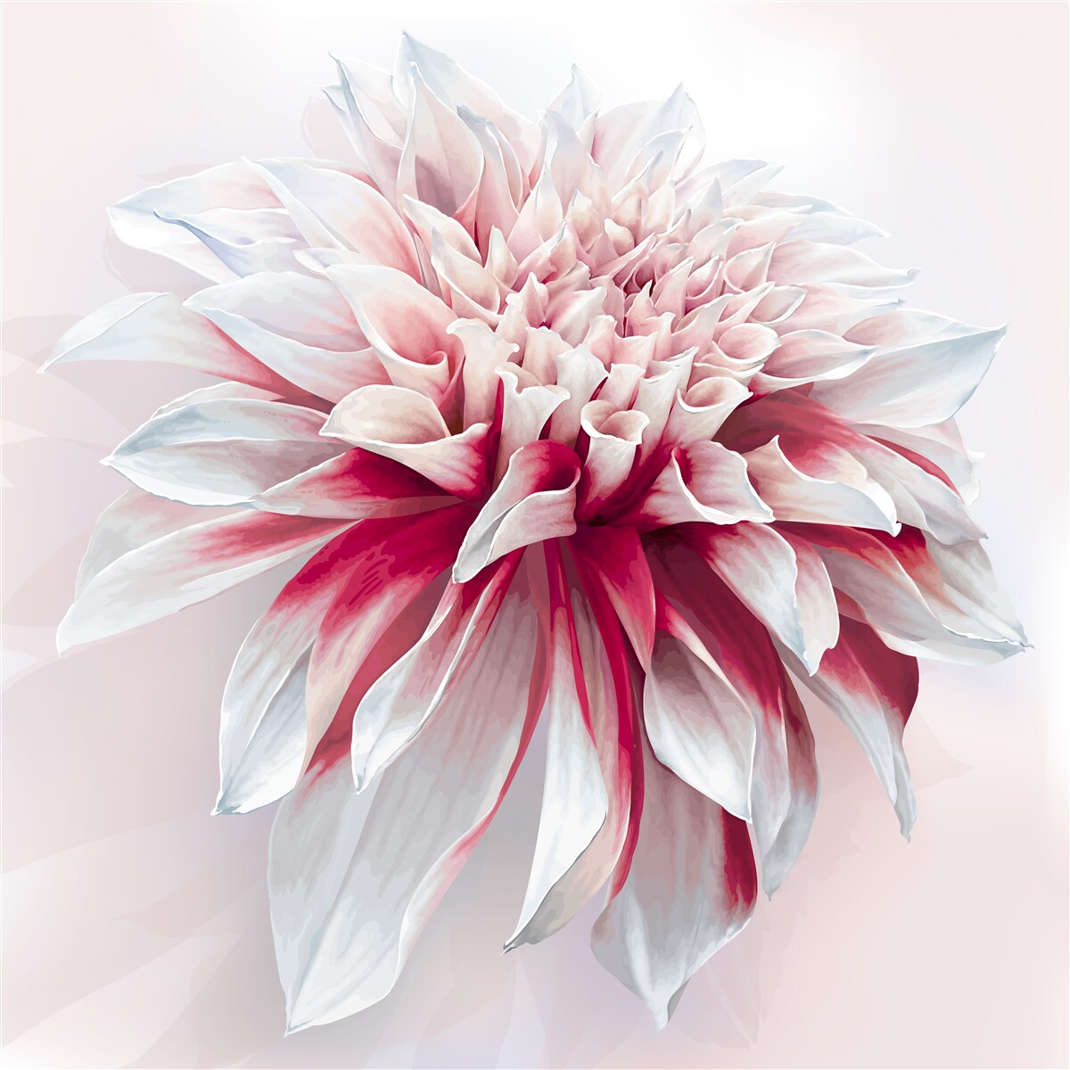 Papier peint superbe astra donut en rouge et blanc