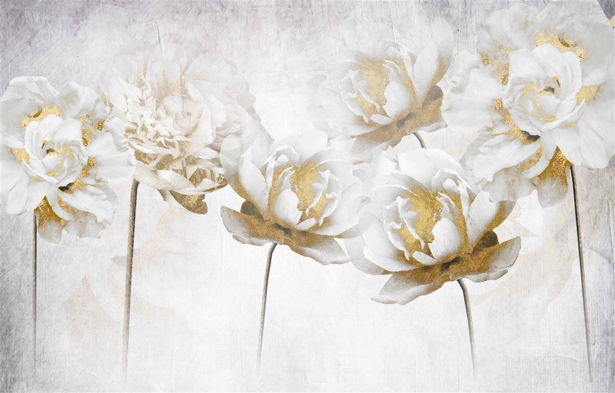 Papier peint Jolies fleurs de coton en blanc