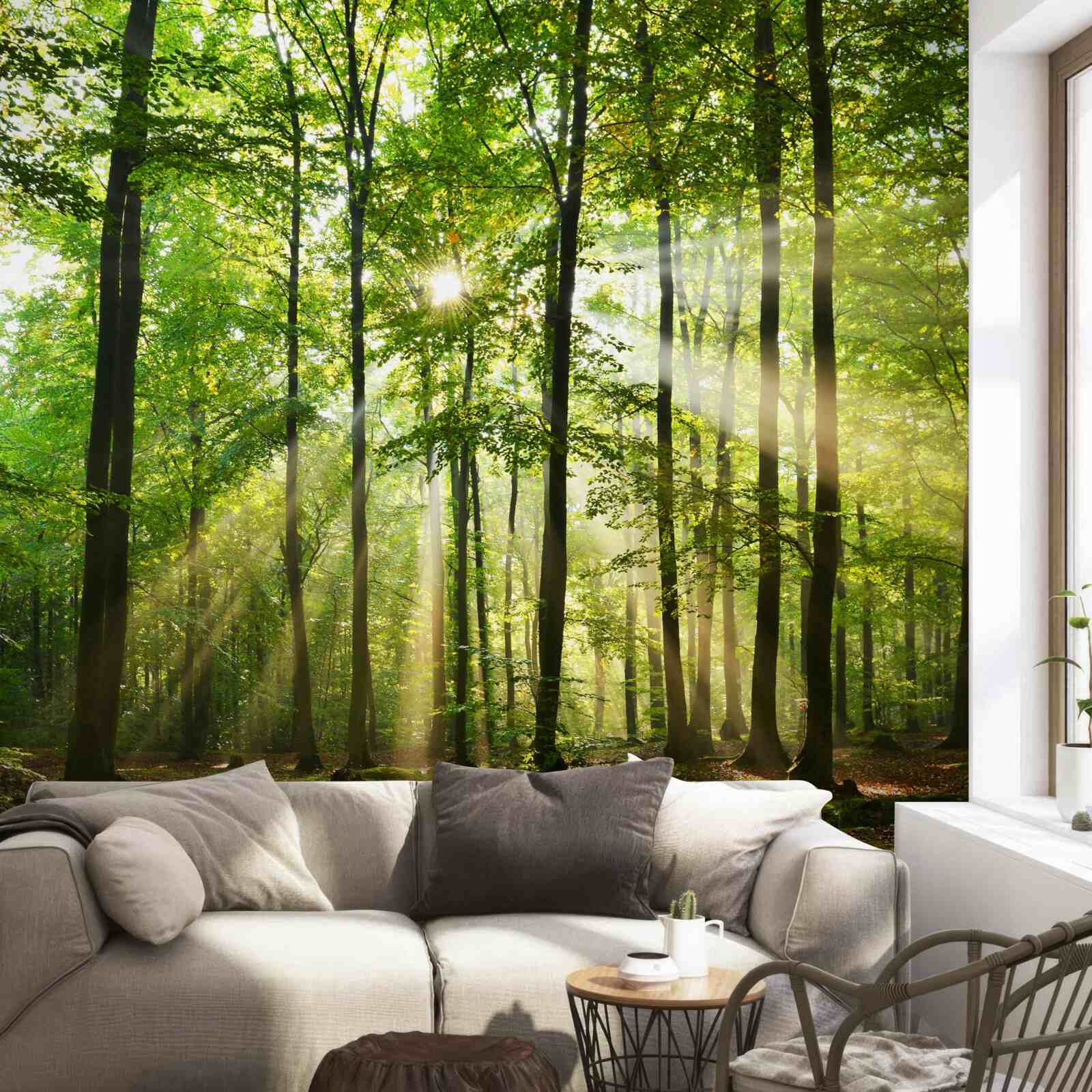 Papier peint les rayons du soleil percent la forêt verte et bien ordonnée