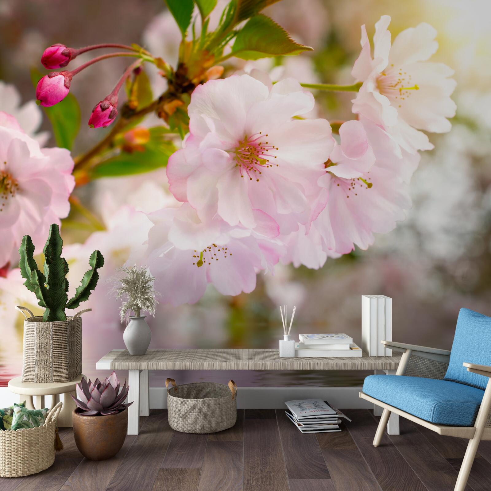 Papier peint des branches de cerisiers aux fleurs roses sont suspendues au-dessus de l'eau