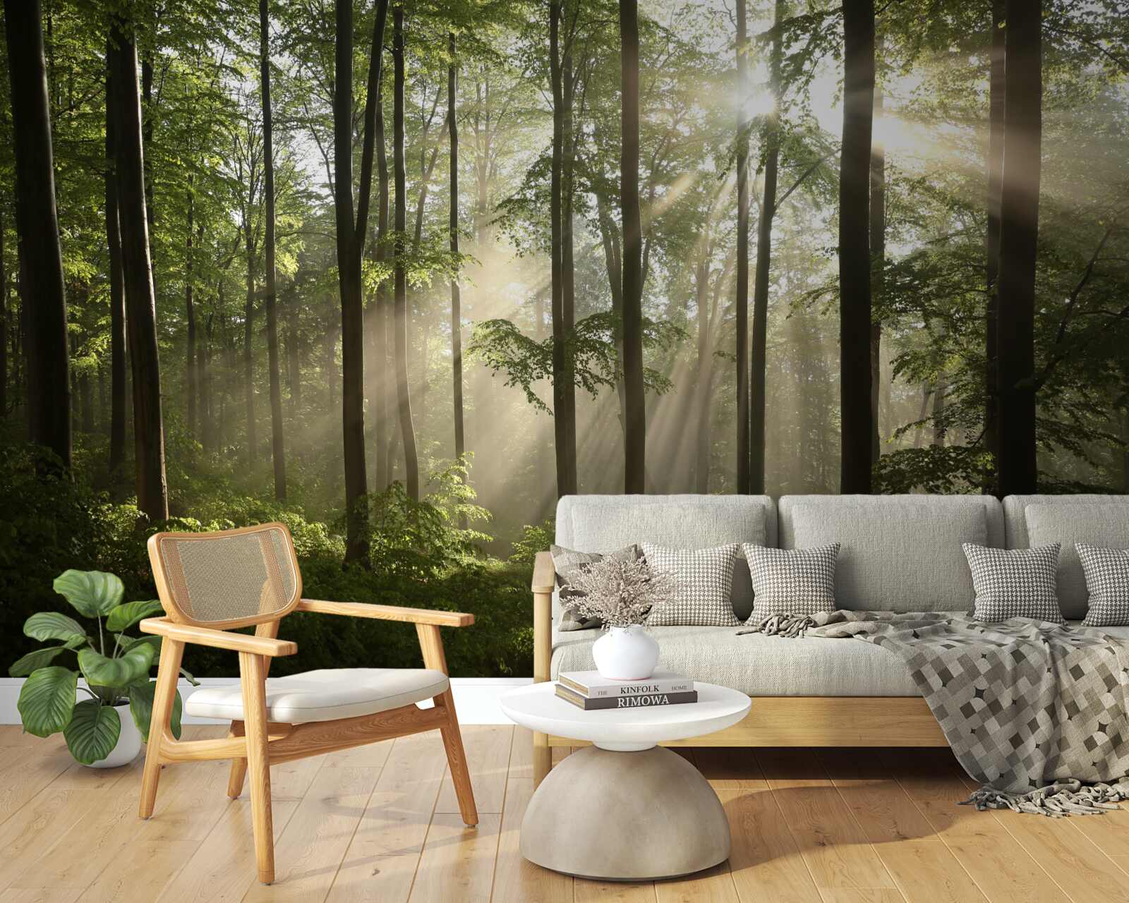 Papier peint les rayons du soleil pénètrent la brume dans la forêt