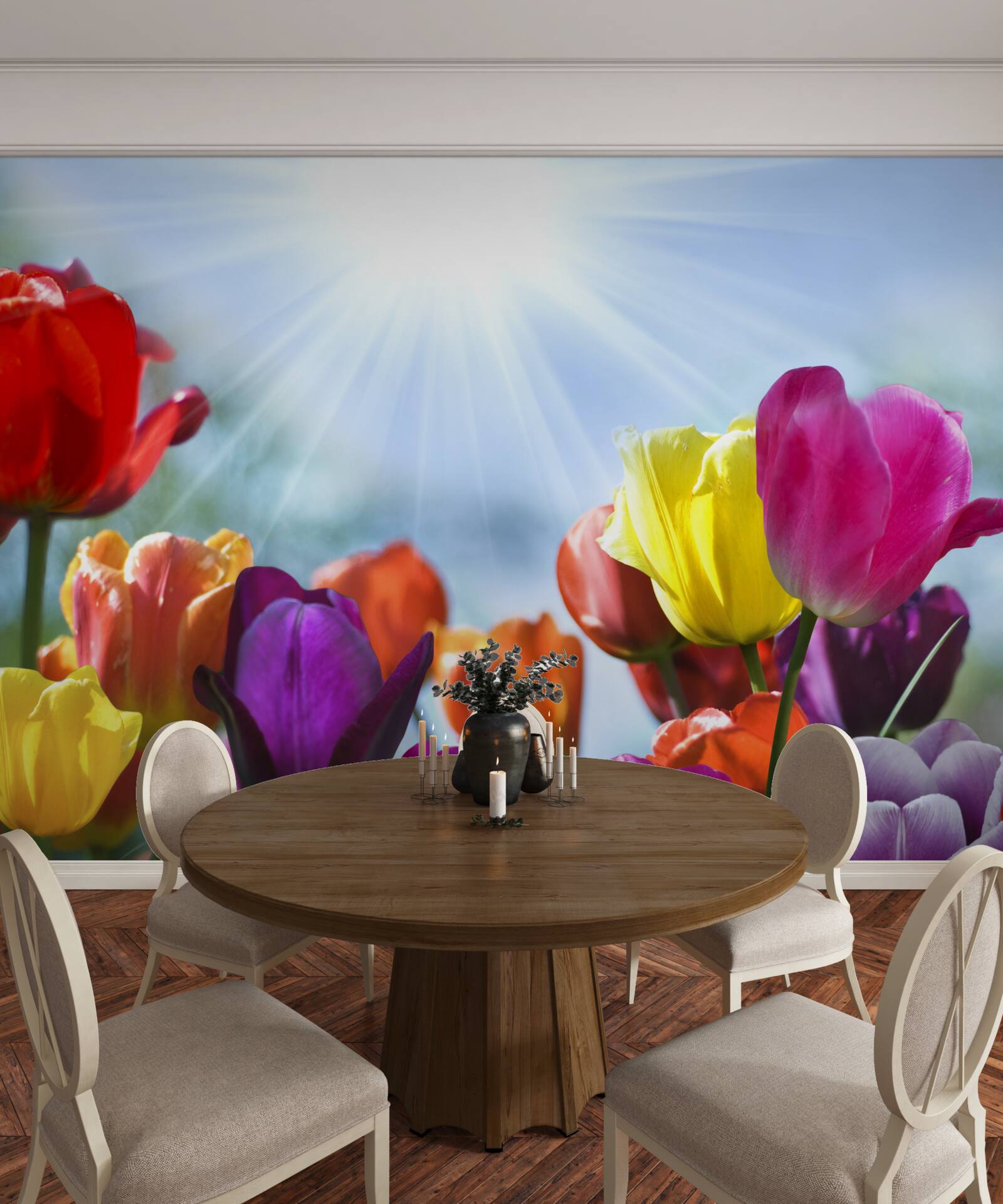Papier peint tulipes de différentes couleurs au soleil