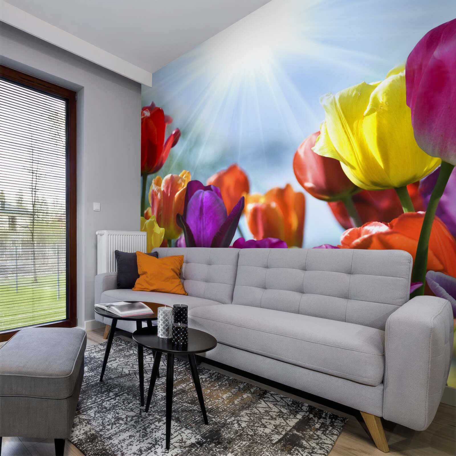 Papier peint tulipes de différentes couleurs au soleil