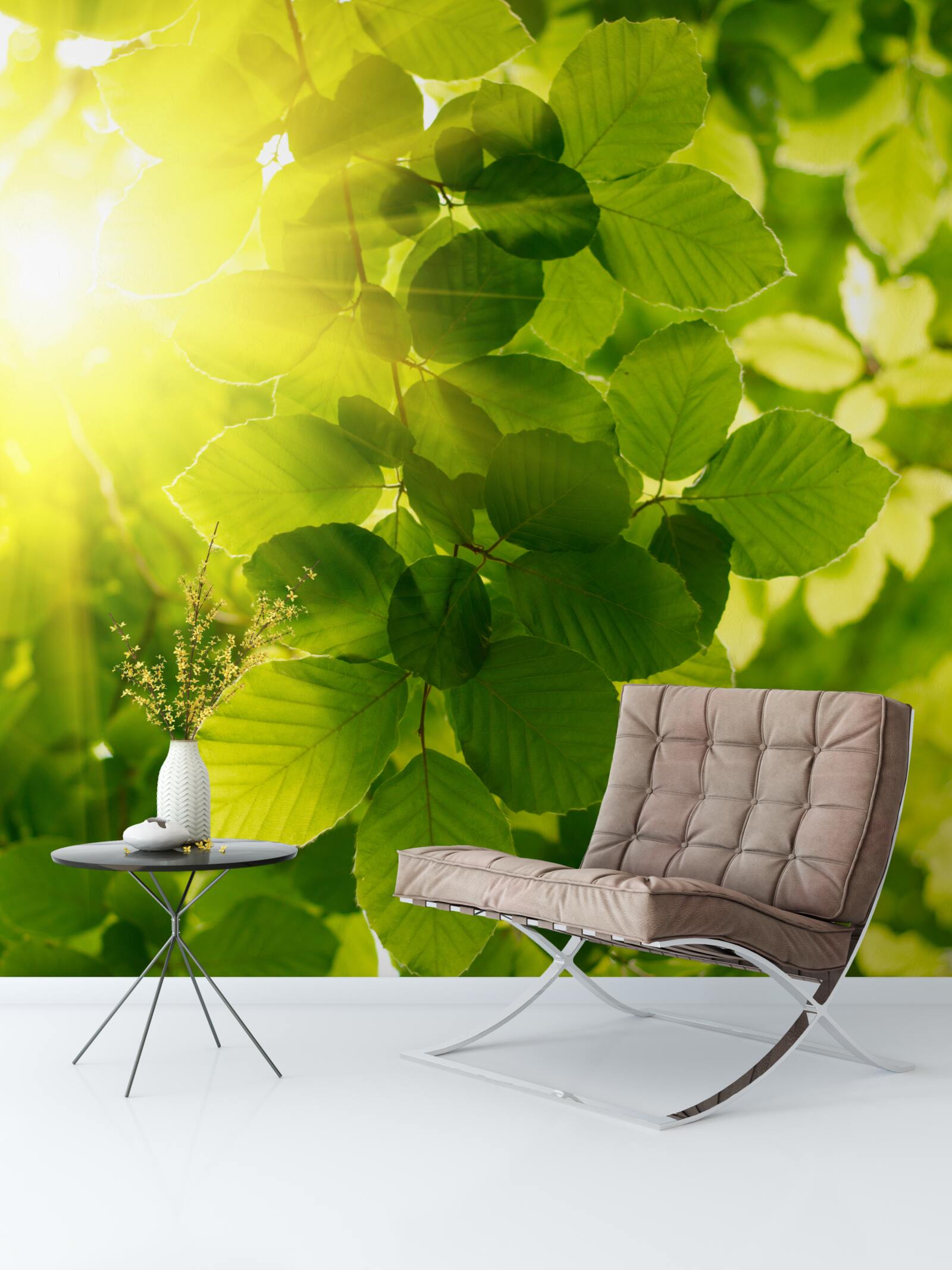 Papier peint la lumière matinale du soleil salue les feuilles vertes