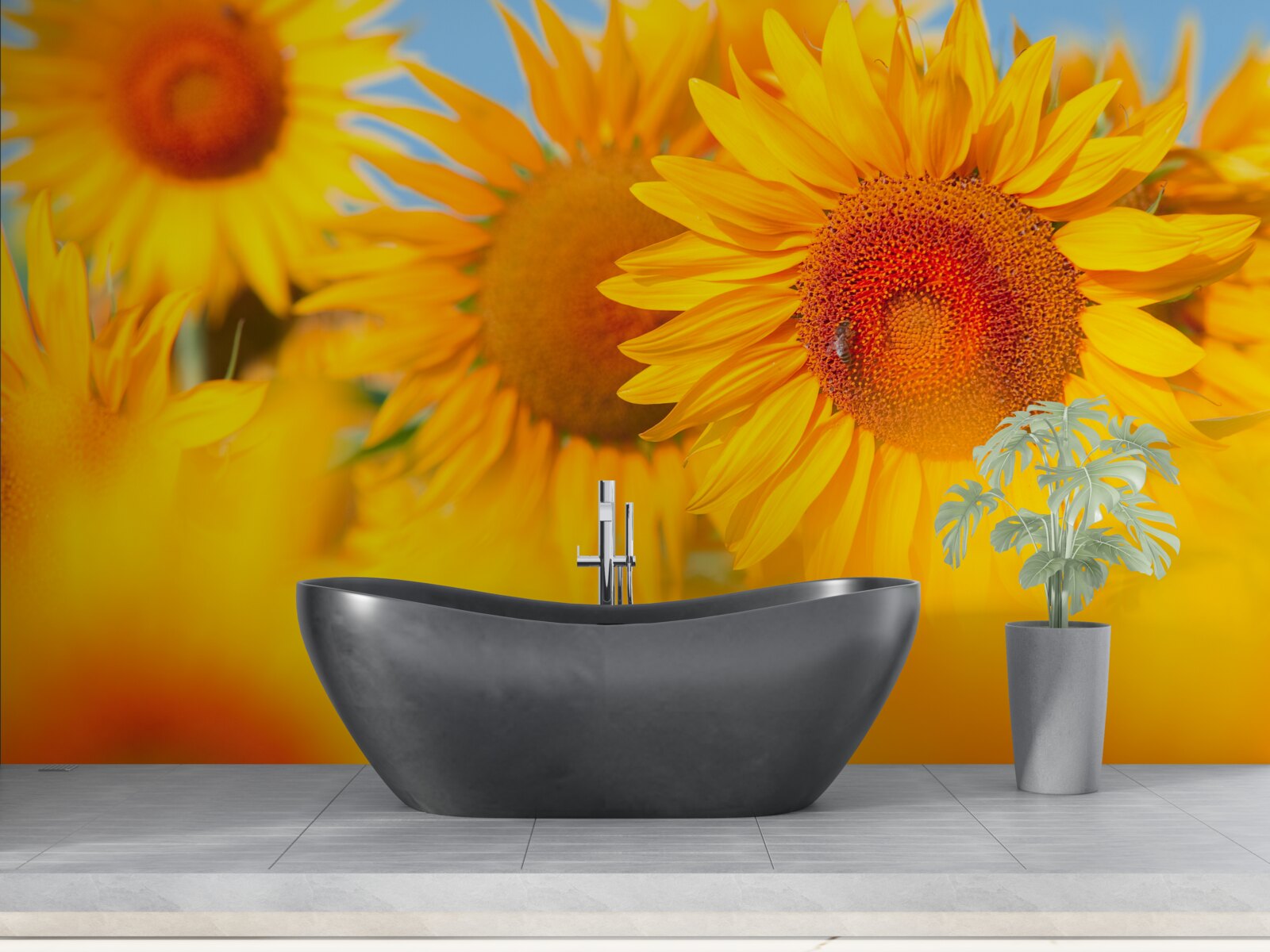 Papier peint tournesols sous le soleil